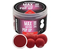 Haldorado Max Motion Boilie Pop Up 16/20mm - Big Fish