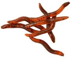 Miracle Fish Guminukai „kirminas" MiracleFish 3cm (50 vnt.)