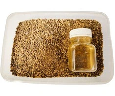 Peletės Deepex Method Mix Bag + 80ml Activator - ShellFish