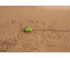 Sistema dugninei žūklei FRY Watermelon Rig On Leadcore 3 Hooks 30-50g