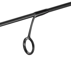 Spiningas Favorite Juodas Swan 2.41m 2-10g BSW1-7112L-T