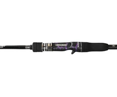 Spiningas XESTA Live Catcher B610 Casting 2.08m 20-80g
