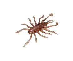 Spiningavimo masalas Jackall RV-Bug 1.5" (8 vnt.)