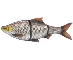 Spiningavimo masalas Savage Gear 4D LT Roach 25cm 216g
