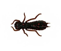 Spiningavimo masalas Wizard Larva 3,5cm (6 vnt.)
