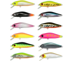 Vobleris Pontoon21 CrackJack 58SP-SR 5g
