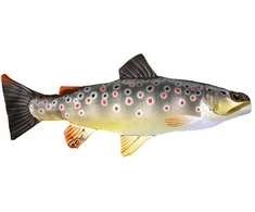 Žaislas EnergoFish Pillow Brown Trout 35cm