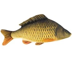 Žaislas EnergoFish Pillow Carp 60cm