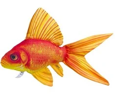 Žaislas EnergoFish Pillow Gold Fish 50cm