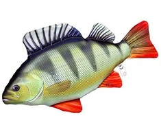 Žaislas EnergoFish Pillow Perch 30cm