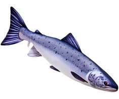 Žaislas EnergoFish Pillow Salmon 90cm