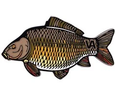 Ženkliukas Carp HE