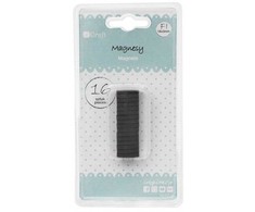 Dallprint Magnetukai 16x3mm 16vnt