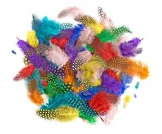 Dallprint Plunksnos 4-7cm 10g ryškios mix sp