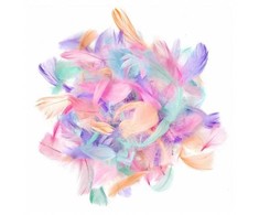 Dallprint Plunksnos 4-8cm 10g, mix sp.