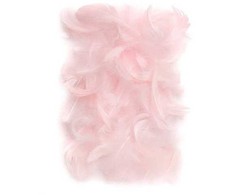 Dallprint Plunksnos 5-12cm 10g, rausvos