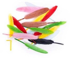 Dallprint Plunksnos žąsies 13cm 20vnt mix