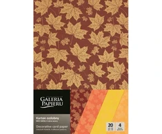 Galeria Papieru Dekoratyvinis popierius MOC BARW A4 mix 200g 20lap