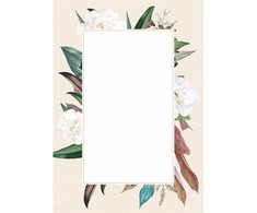 Galeria Papieru Popierius diplomams A4 170g 25l CAMELLIA