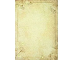 Galeria Papieru Popierius diplomams A4 190g 20l GINKGO
