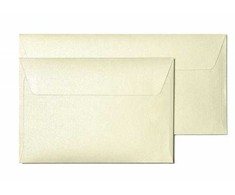 Galeria Papieru Vokai DL MILLENIUM 120g 10vnt kreminiai