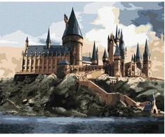 Ideyka Tapyba pagal skaičius: "HARIS PORETIS" Hogvartas dieną Warner Bros 40x50 dėžutėje