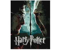Ideyka Tapyba pagal skaičius: „HARIS POTERIS“ Haris ir Voldemortas Warner Bros 40x50 dėžutėje