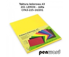 Kartonas A3/ 10l 225g geltonas PenWord