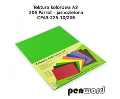Kartonas A3/ 10l 225g žalias PenWord
