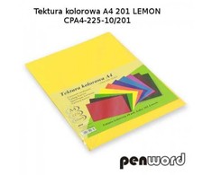 Kartonas A4/ 10l 225g PenWord geltonas