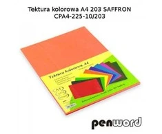 Kartonas A4/ 10l 225g PenWord oranžinis