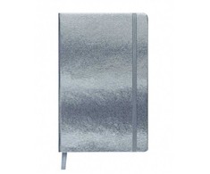 Knygutė INGOT 125x195mm 80l lang., sidabrinė