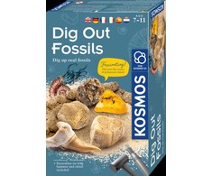 Kosmos Lavinamasis rinkinys DIG OUT FOSSILS 7-10 LT,LV,EE