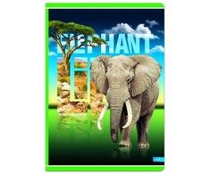 Lastva Knyga A4 96lap 70g linija ANIMALplanet