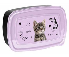 Paso Dėžutė CAT PP25CE-3022