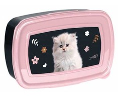 Paso Dėžutė CAT PP25CO-3022