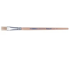 Pelikan Teptukas Nr.613F 18 pl.šeriai