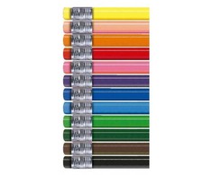 Pieštukai spalvoti ALPINO Erasable 12sp