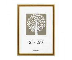 Savex Nuotraukų rėmelis, plastikinis, A4, 21x29,7 cm, aukso sp.
