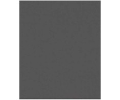 Spalvotas kartonas A1/ 160g grafitinis