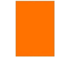 Spalvotas kartonas A2/ 170g oranžinis