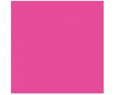 Spalvotas popierius 80g A4/ 100l Fluo rožinis