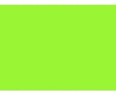 Spalvotas popierius 80g A4/ 100l Fluo žalias