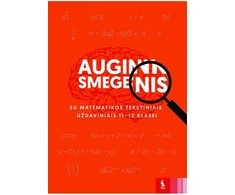 KNYGA Šviesa Matematikos tekstiniai uždaviniai 1112 klasei (serija „Augink smegenis“)