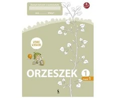 KNYGA Šviesa ORZESZEK. Pierwszy zeszyt ćwiczeń su matematyki dla klasy 1 (Atnaujintas leidimas)