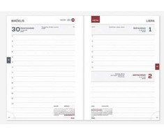 Timer Pedagogo knyga 2025/2026 m, 120x195mm, tamsiai rudos spalvos