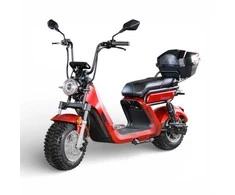 Dayi Motor Elektrinis motoroleris E-baldur A9 OFFROAD EEC