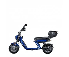 Dayi Motor Elektrinis motoroleris E-baldur A9 OFFROAD EEC