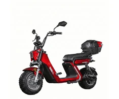 Dayi Motor Elektrinis motoroleris E-baldur A9 OFFROAD EEC