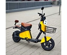 Elektrinis motoroleris Mini Citycoco CP-17